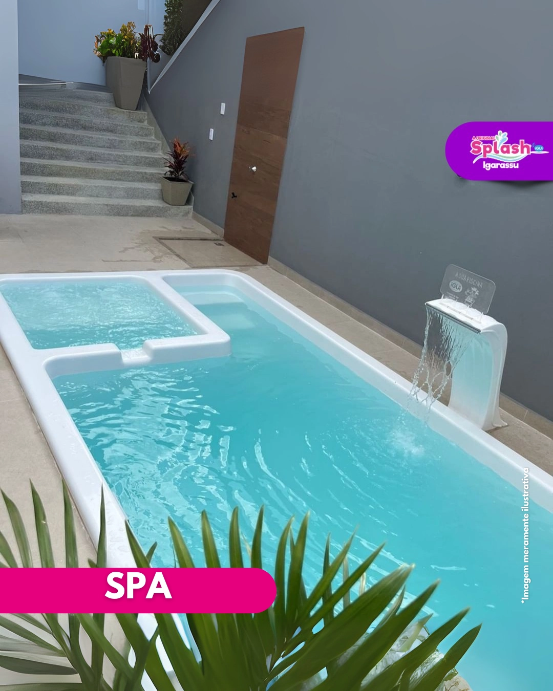 SPA 6