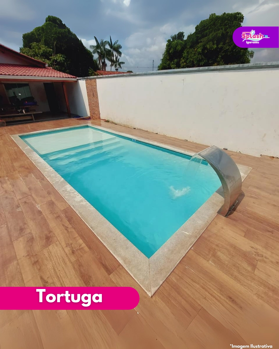 Tortuga