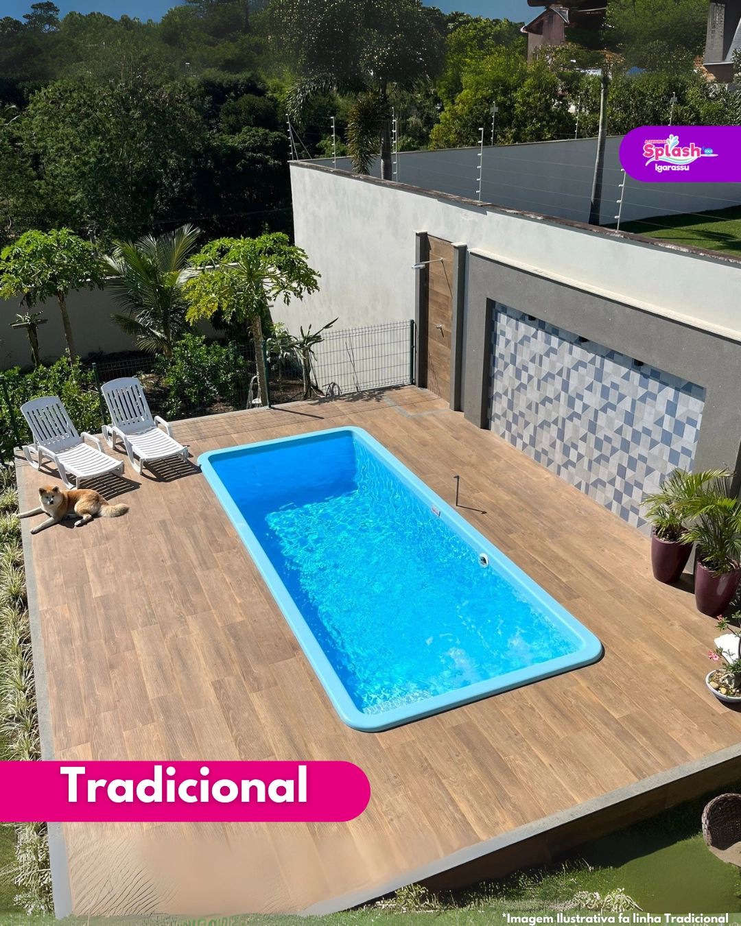 Tradicional