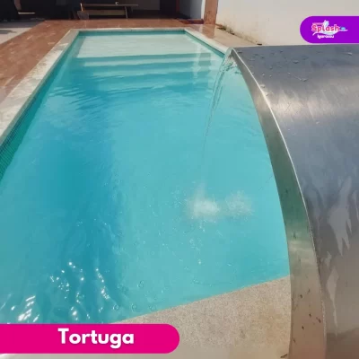 Tortuga (3)